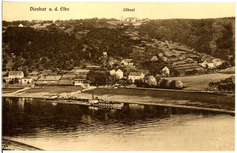 18956-Diesbar-1915-Blick auf Diesbar - Elbe mit Dampfer-Brück & Sohn Kunstverlag