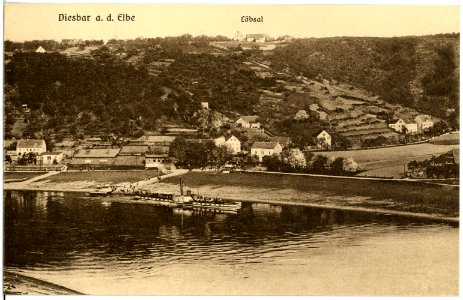18956-Diesbar-1915-Blick auf Diesbar - Elbe mit Dampfer-Brück & Sohn Kunstverlag