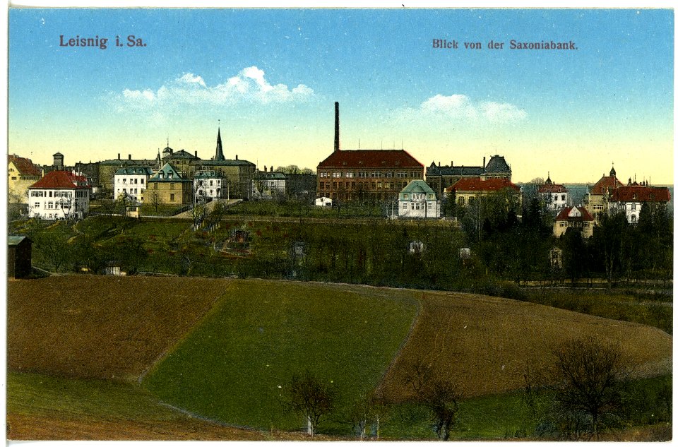 18992-Leisnig-1915-Blick von der Saxoniabank-Brück & Sohn Kunstverlag