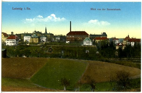 18992-Leisnig-1915-Blick von der Saxoniabank-Brück & Sohn Kunstverlag