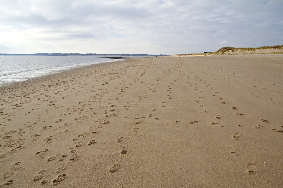 Dune nature reserve northern germany