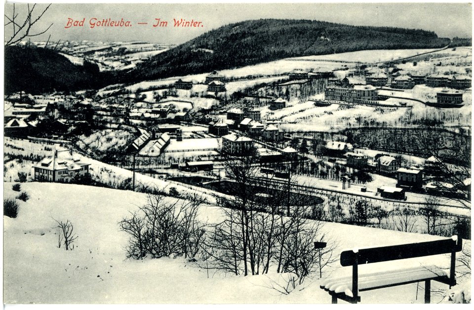 18697-Bad Gottleuba-1915-Blick auf Gottleuba im Winter-Brück & Sohn Kunstverlag