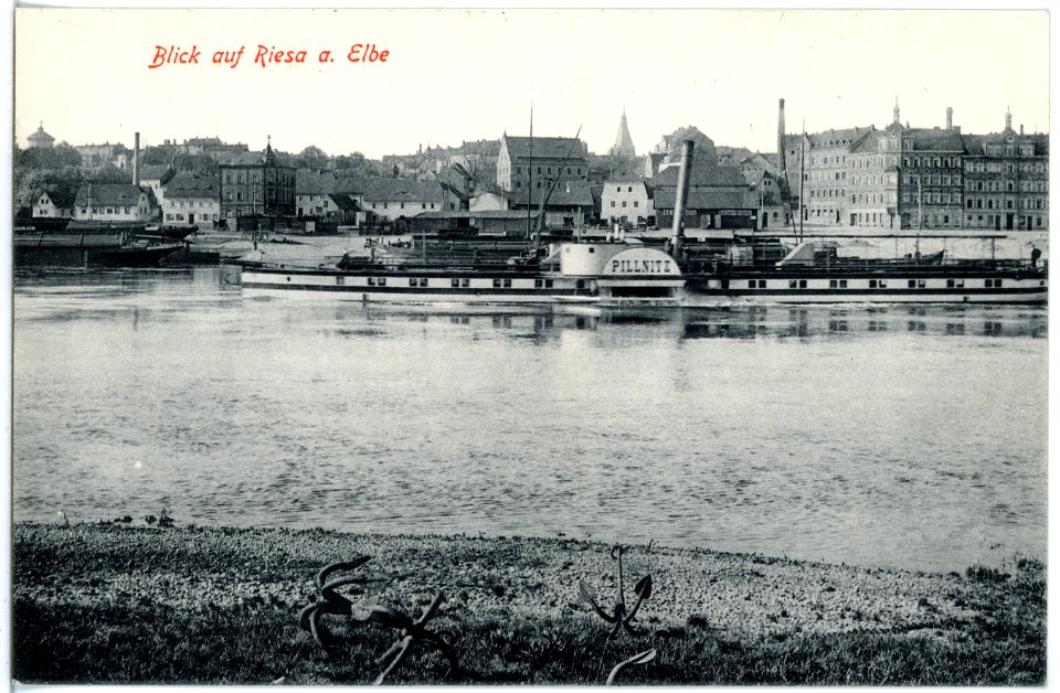 18891-Riesa-1915-Blick auf Riesa - Elbe mit Dampfer Pillnitz-Brück & Sohn Kunstverlag