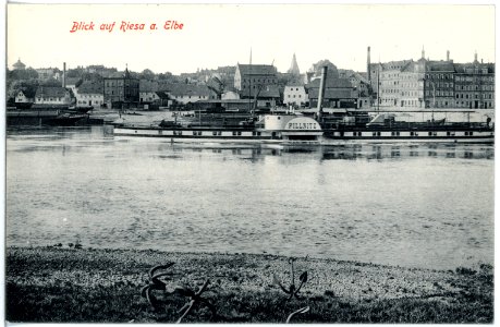 18891-Riesa-1915-Blick auf Riesa - Elbe mit Dampfer Pillnitz-Brück & Sohn Kunstverlag