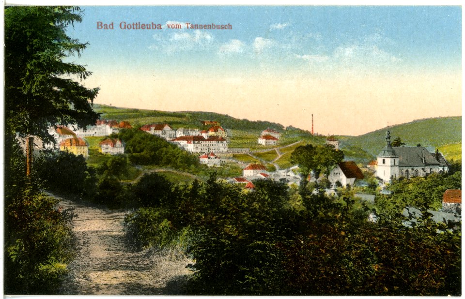 18480-Bad Gottleuba-1914-Blick auf Bad Gottleuba vom Tannenbusch-Brück & Sohn Kunstverlag