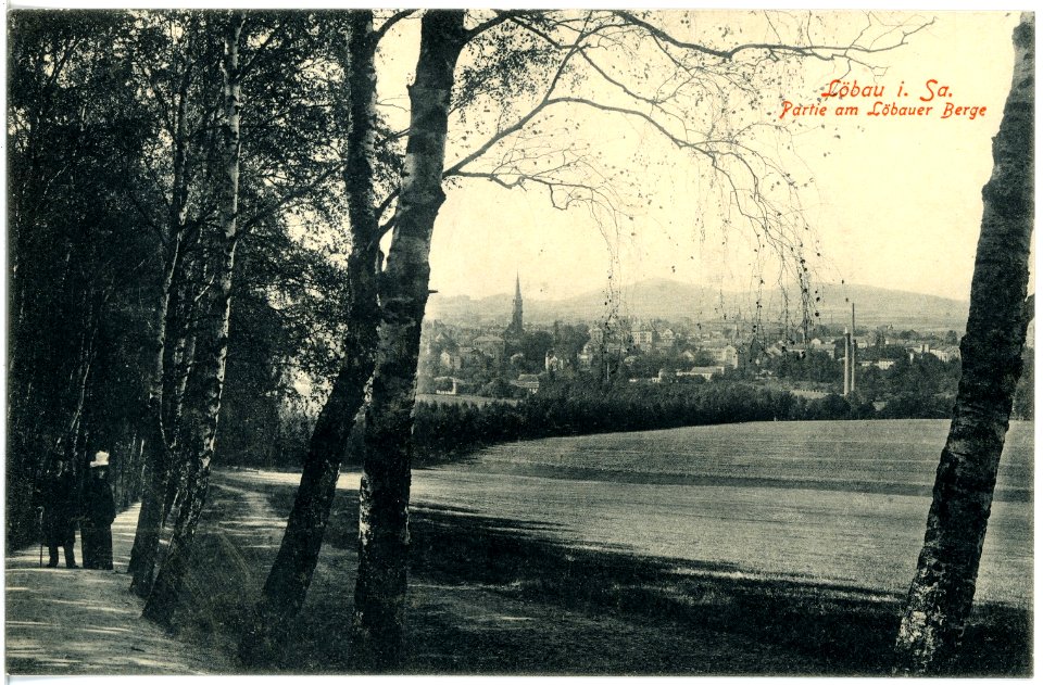 18419-Löbau-1914-Am Löbauer Berg-Brück & Sohn Kunstverlag