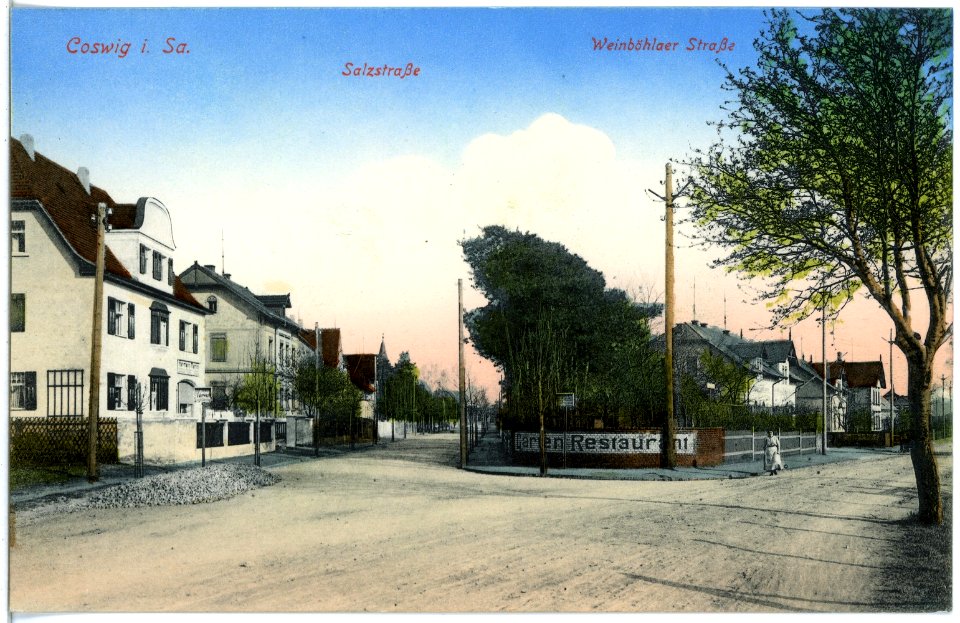 18844-Coswig-1915-Salzstraße, Weinböhlaer Straße-Brück & Sohn Kunstverlag