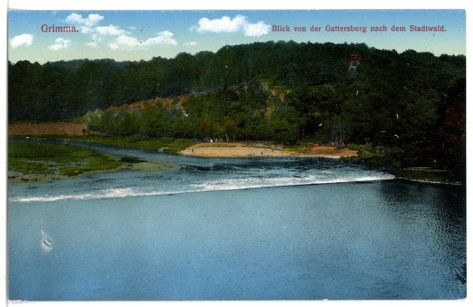 16439-Grimma-1913-Blick von der Gattersburg nach dem Stadtwald-Brück & Sohn Kunstverlag