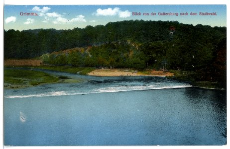 16439-Grimma-1913-Blick von der Gattersburg nach dem Stadtwald-Brück & Sohn Kunstverlag