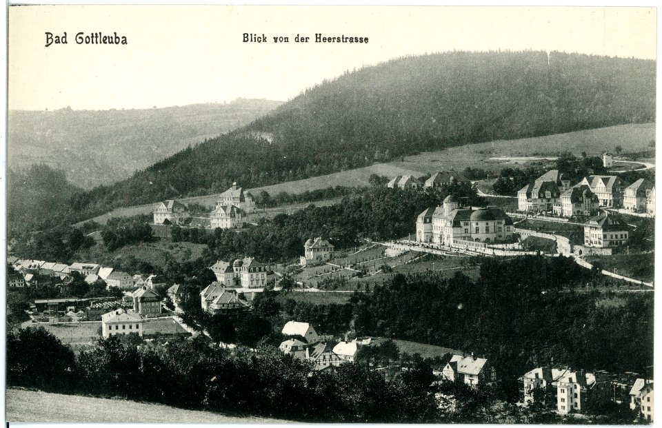 18405-Bad Gottleuba-1914-Blick von der Heerstraße-Brück & Sohn Kunstverlag