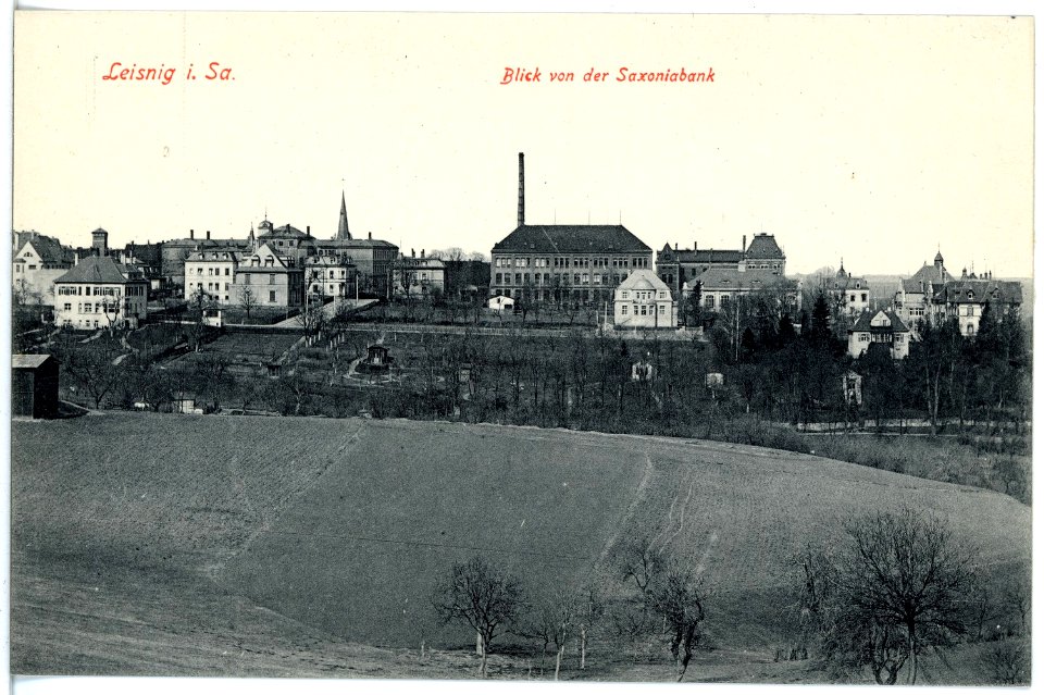 18737-Leisnig-1915-Blick von der Saxoniabank-Brück & Sohn Kunstverlag