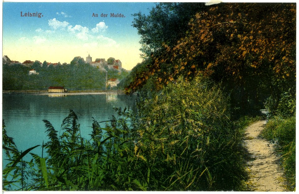 18387-Leisnig-1914-An der Mulde-Brück & Sohn Kunstverlag