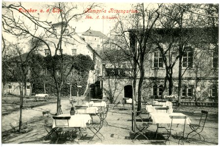 18828-Diesbar-1915-Hempels Rosengarten-Brück & Sohn Kunstverlag photo