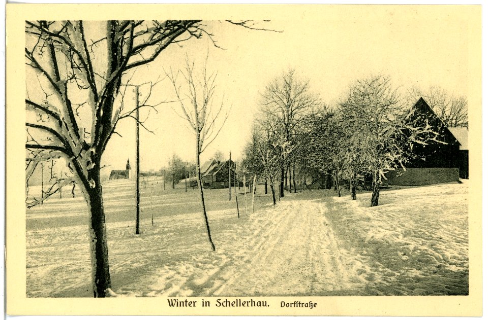 18376-Schellerhau-1914-Blick auf Schellerhau im Winter, Dorfstraße-Brück & Sohn Kunstverlag