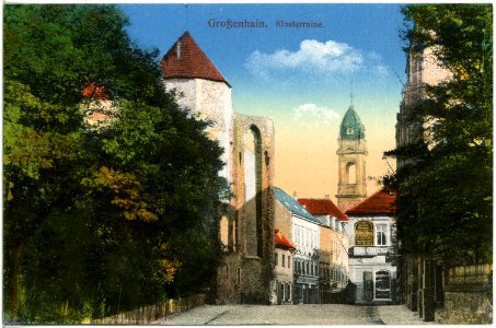 18432-Großenhain-1914-Klosterruine-Brück & Sohn Kunstverlag