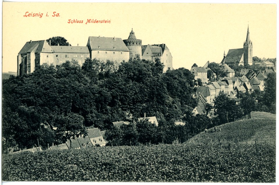 18293-Leisnig-1914-Schloß Mildenstein-Brück & Sohn Kunstverlag