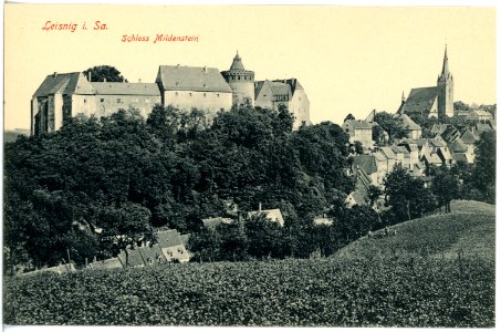 18293-Leisnig-1914-Schloß Mildenstein-Brück & Sohn Kunstverlag
