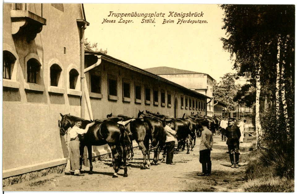 18313-Königsbrück-1914-Truppenübungsplatz - Ställe beim Pferdeputzen-Brück & Sohn Kunstverlag