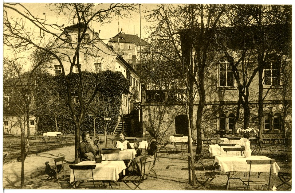 18827-Diesbar-1915-Hempels Rosengarten-Brück & Sohn Kunstverlag