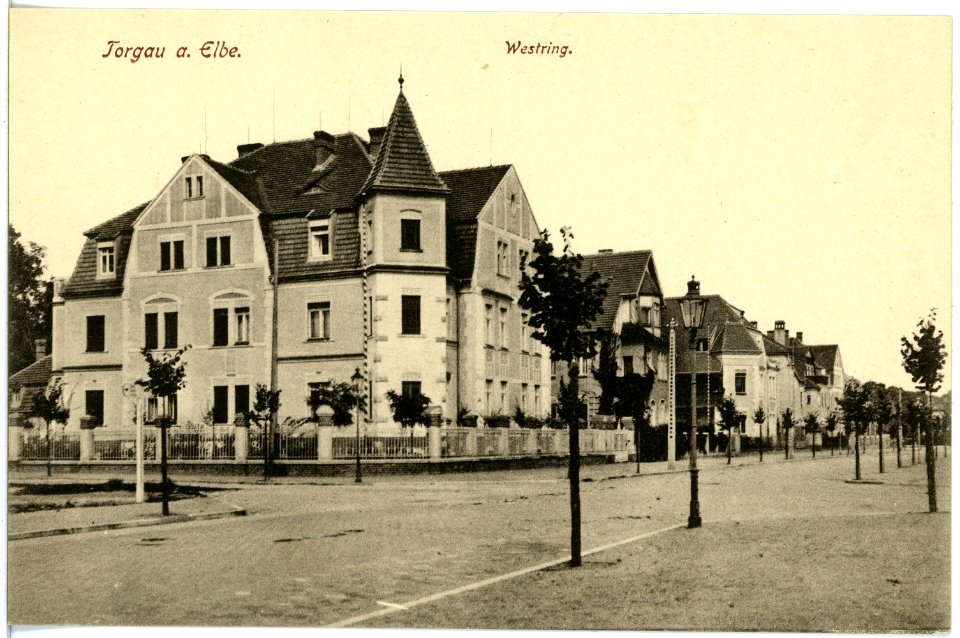 18247-Torgau-1914-Westring-Brück & Sohn Kunstverlag