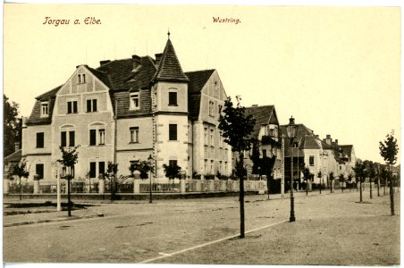 18247-Torgau-1914-Westring-Brück & Sohn Kunstverlag