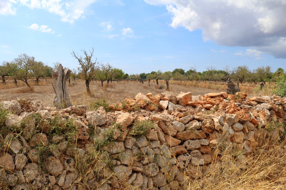 Drywall dry stone wall wall