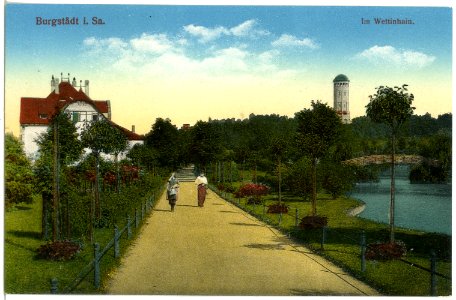 18290-Burgstädt-1914-Wettinhain-Brück & Sohn Kunstverlag
