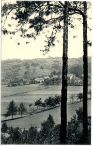 18959-Diesbar-1915-Blick nach Diesbar-Brück & Sohn Kunstverlag