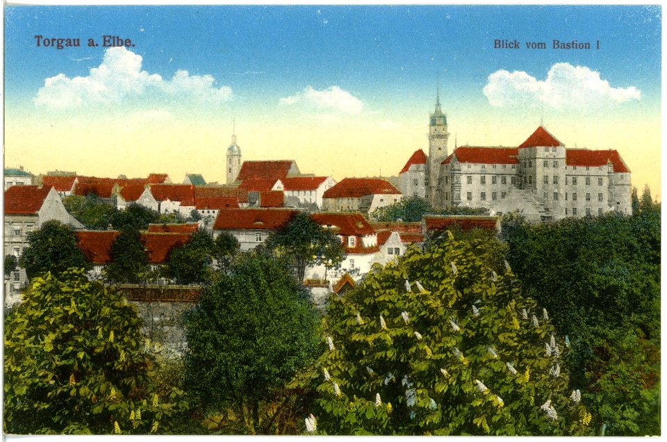 18453-Torgau-1914-Blick auf Torgau von der Bastion-Brück & Sohn Kunstverlag