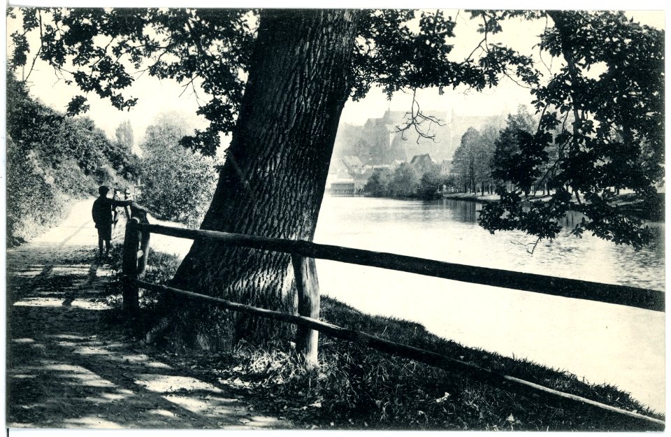 17512-Colditz-1914-An der Mulde-Brück & Sohn Kunstverlag