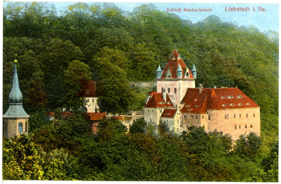 18575-Liebstadt-1914-Schloß Kuckuckstein-Brück & Sohn Kunstverlag