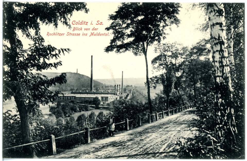 17517-Colditz-1914-Blick ins Muldental von der Rochlitzer Straße-Brück & Sohn Kunstverlag