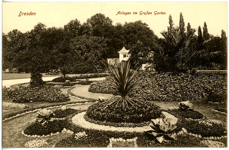 18911-Dresden-1915-Anlagen im Großen Garten-Brück & Sohn Kunstverlag