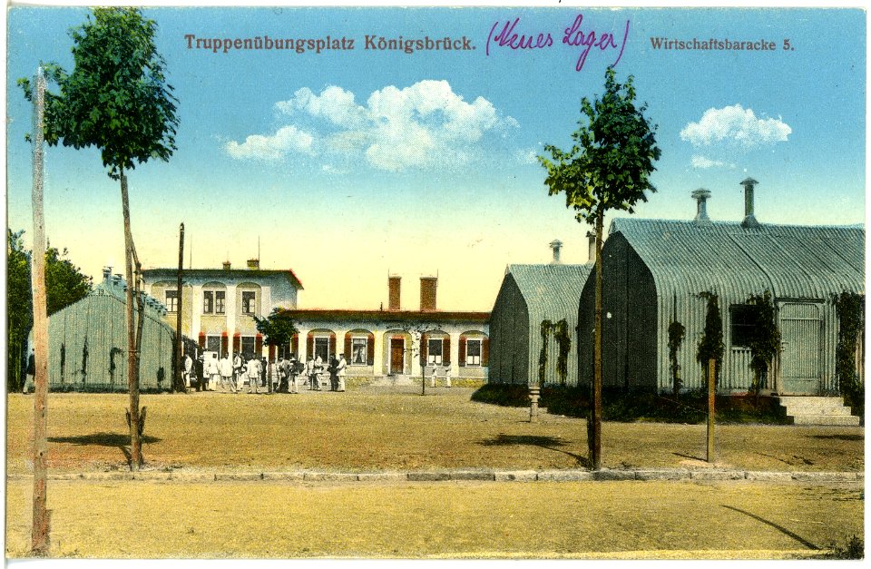 18964-Königsbrück-1915-Truppenübungsplatz - Post-Brück & Sohn Kunstverlag