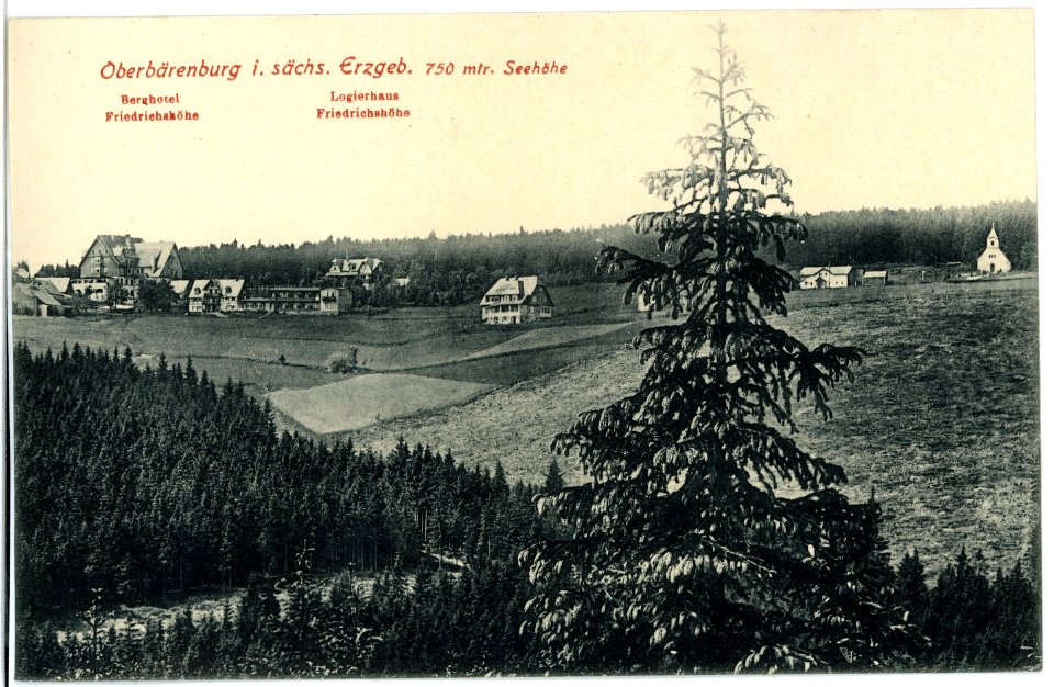 17979-Oberbärenburg-1914-Berghotel Friedrichshöhe, Logierhaus Friedrichshöhe-Brück & Sohn Kunstverlag
