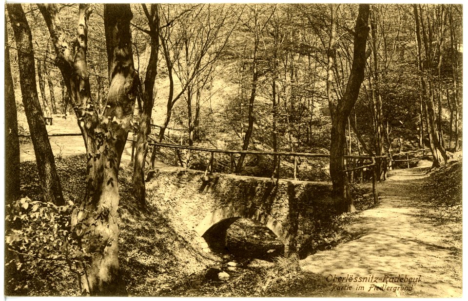 17922-Radebeul-1914-Fiedlergrund - Oberlößnitz-Brück & Sohn Kunstverlag