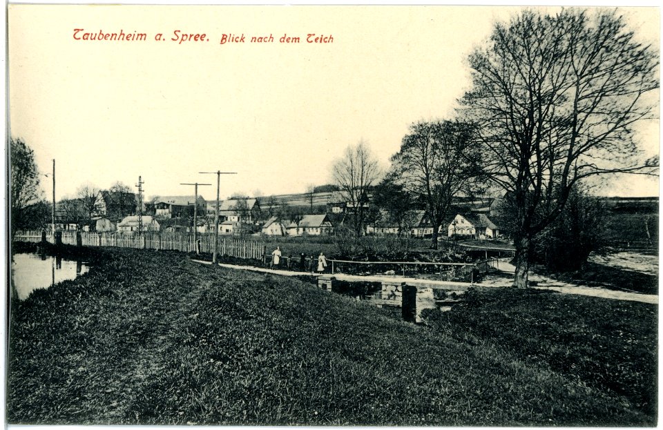 17987-Taubenheim-1914-Blick auf Taubenheim an der Spree-Brück & Sohn Kunstverlag