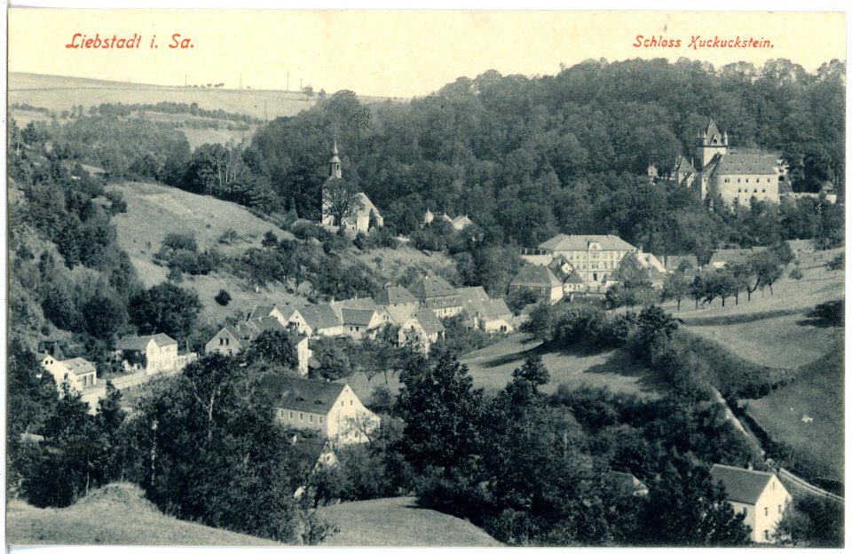 18542-Liebstadt-1914-Blick auf Liebstadt und Schloß Kuckuckstein-Brück & Sohn Kunstverlag