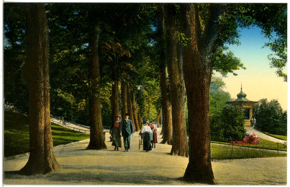 18271-Freiberg-1914-Im Albertpark-Brück & Sohn Kunstverlag