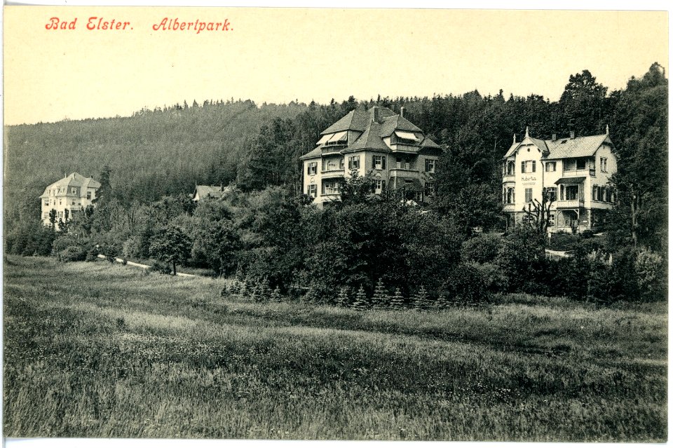 17963-Bad Elster-1914-Albertpark-Brück & Sohn Kunstverlag