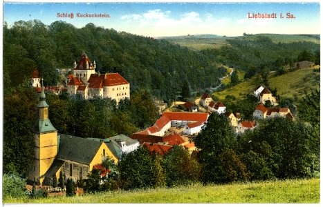 18598-Liebstadt-1915-Blick auf Liebstadt mit Schloß Kuckuckstein-Brück & Sohn Kunstverlag