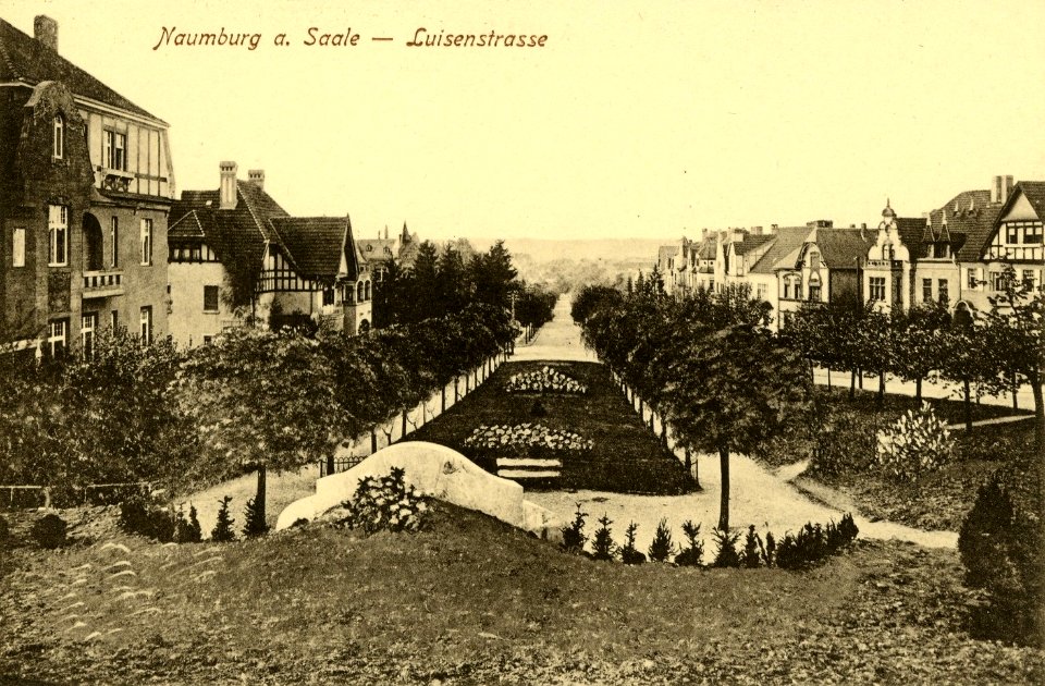 18556-Naumburg-1914-Luisenstraße-Brück & Sohn Kunstverlag