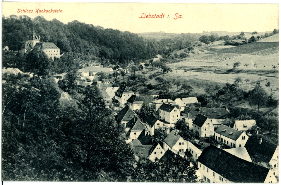 18543-Liebstadt-1914-Blick auf Liebstadt und Schloß Kuckuckstein-Brück & Sohn Kunstverlag