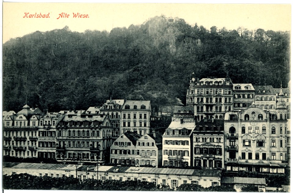 17949-Karlsbad-1914-Alte Wiese-Brück & Sohn Kunstverlag