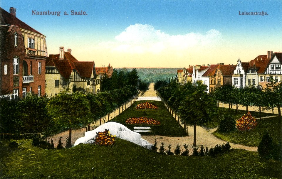 18594-Naumburg-1915-Luisenstraße-Brück & Sohn Kunstverlag