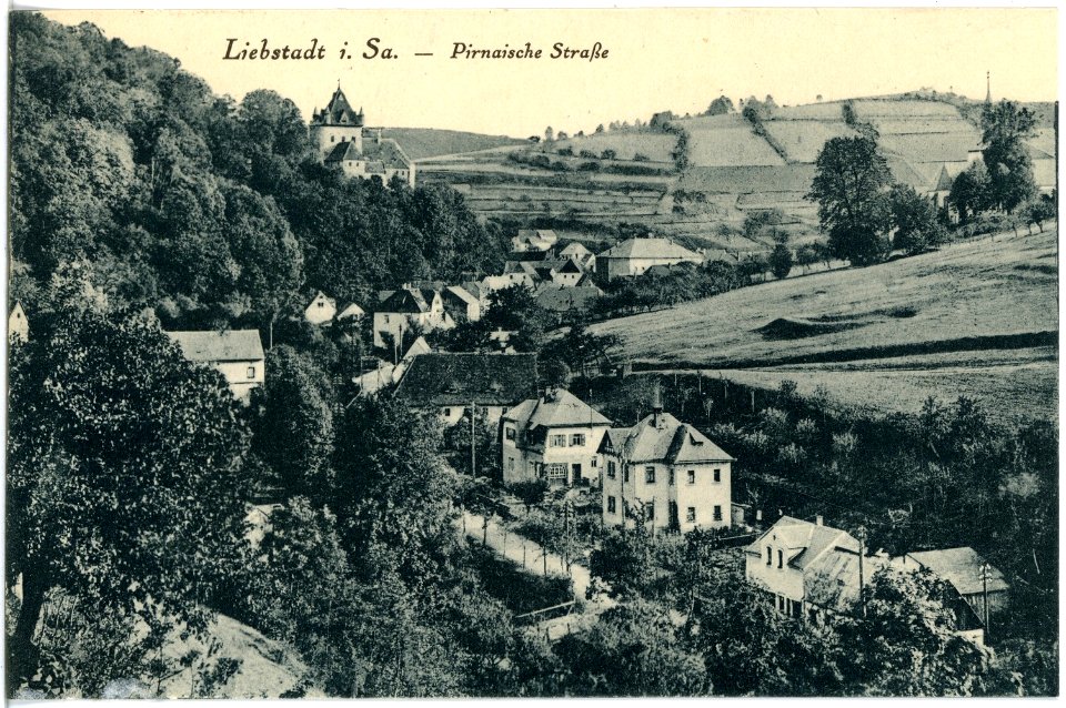 18544-Liebstadt-1914-Pirnaische Straße-Brück & Sohn Kunstverlag