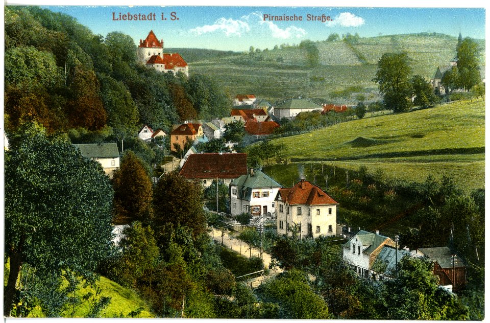 18574-Liebstadt-1914-Pirnaische Straße-Brück & Sohn Kunstverlag