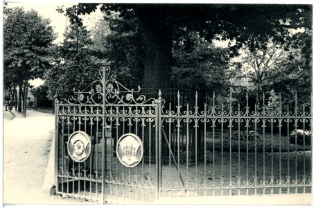 17672-Wittenberg-1914-Luthereiche am Elstertor-Brück & Sohn Kunstverlag