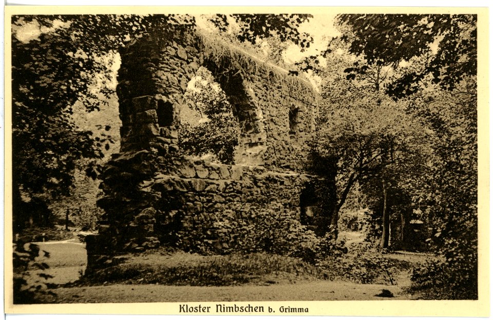 17281-Grimma-1914-Nimbschen Klosterruine-Brück & Sohn Kunstverlag
