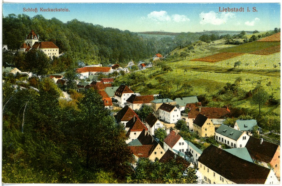 18573-Liebstadt-1914-total mit Schloß-Brück & Sohn Kunstverlag